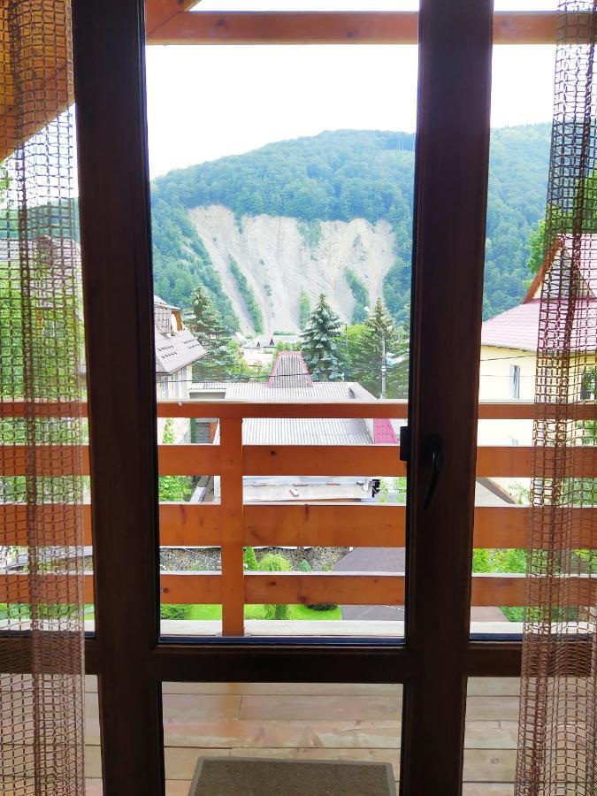 Guest House Shafran Iaremcea Exterior foto
